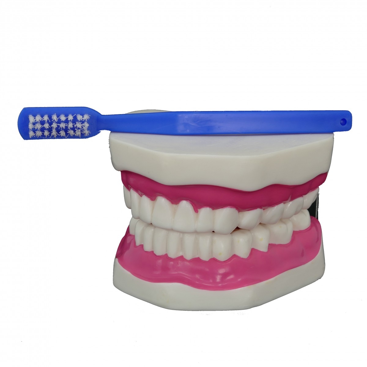 Об’ємна модель 