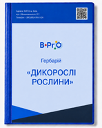 Гербарий Дикорастущие растения 