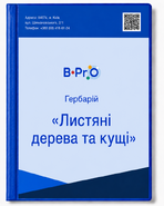 Гербарий Лиственные деревья и кусты 