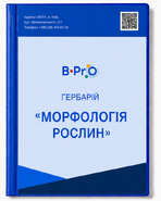 Гербарий Морфология растений