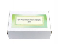 Эволюция системы органов беспозвоночных животных