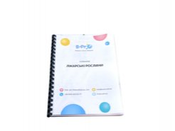 Гербарій Лікарські рослини