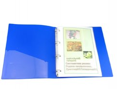 Гербарий Систематика растений. Семья пасленовых. Крестоцветные. Сложноцветные