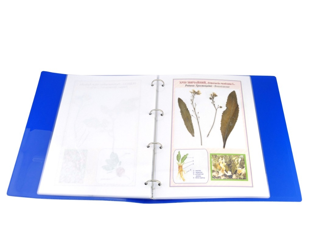 Гербарий 