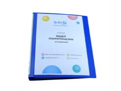 Гербарий Отдел Покрытосеменные (по семействам)