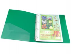 Коллекция Разнообразие цветов