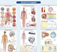 Печатные материалы