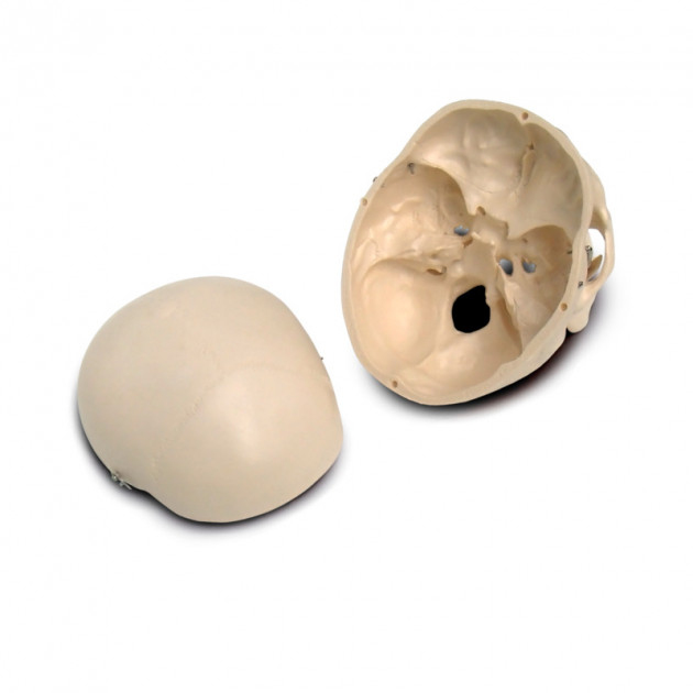 Объемная модель 