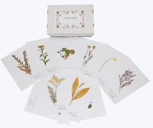 Гербарии и коллекции