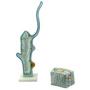 Об'ємна модель Гідра