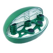 Об'ємна модель Хлоропласт