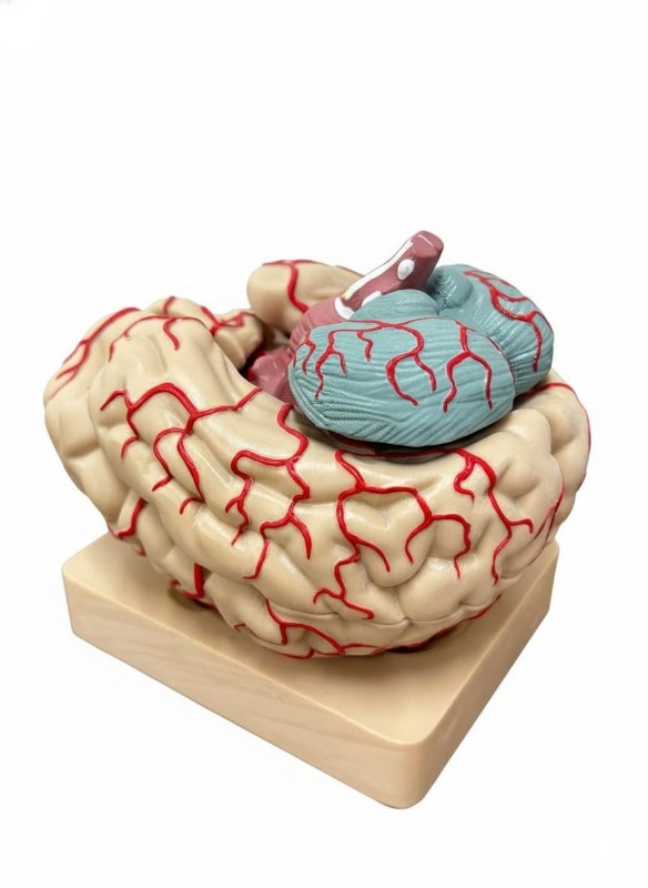 Об’ємна модель 