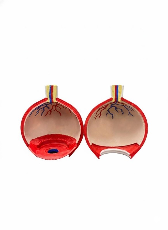 Об’ємна модель 