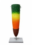 Об'ємна модель Поздовжній розтин кореня