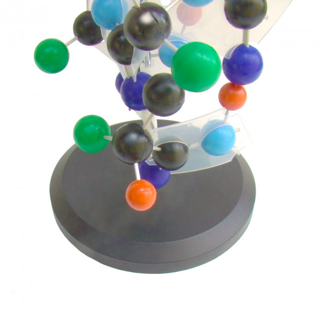 Структура белка