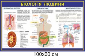 Биология человека 3