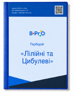Гербарій Лілійні та Цибулеві