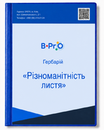 Гербарій Різноманітність листя