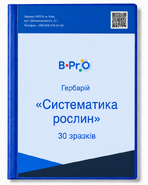 Гербарій Систематика рослин (30 зразків) 
