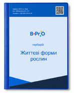 Гербарій Життєві форми рослин