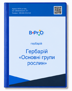 Гербарій Основні групи рослин