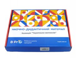 Колекція Мушлі молюсків