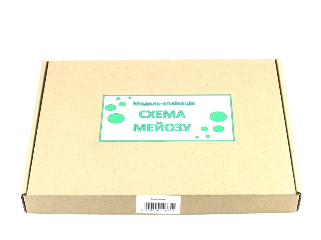 Схема мейоза