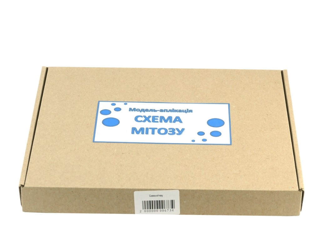 Схема митоза