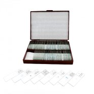 Большой набор микропрепаратов Ботаника №1