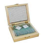 Набор микропрепаратов Грибы