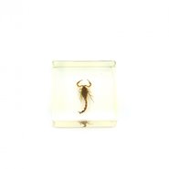 Модель Скорпион (внешнее строение)