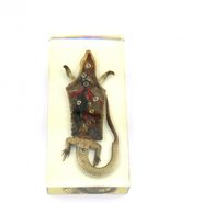 Модель Ящерица (внутреннее и внешнее строение)