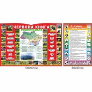 Стенд Красная книга и правила техники безопасности