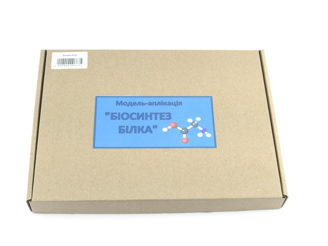 Биосинтез белка