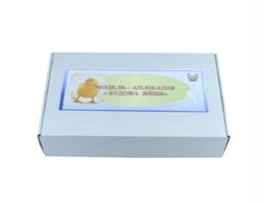 Модель-аппликация Будовая яйца