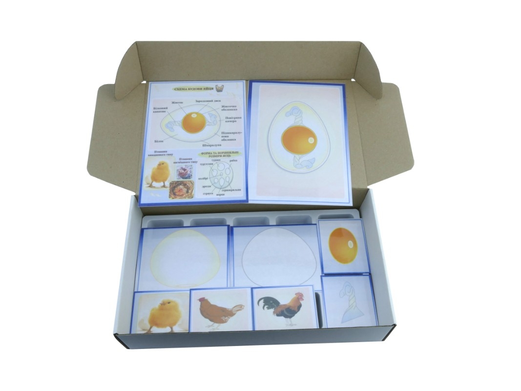 Модель-аппликация 