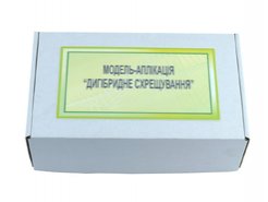 Дигибридное скрещивание