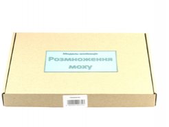 Модель-аппликация Размножение мха