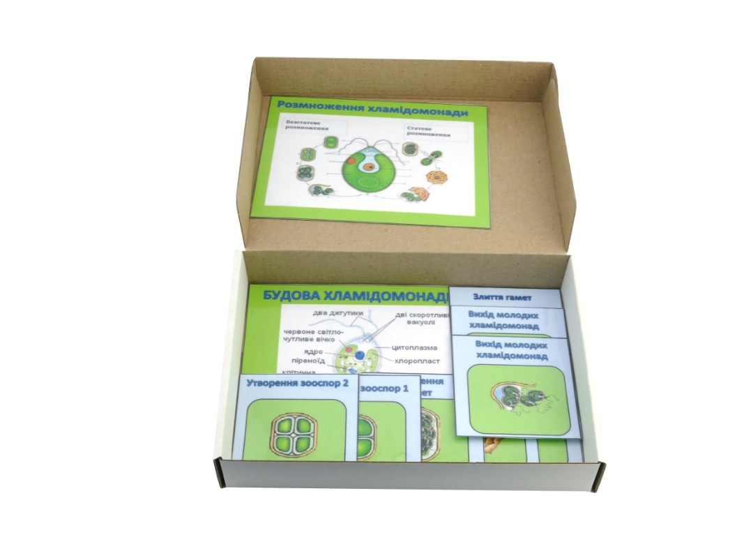 Модель-аппликация 