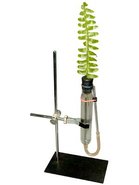 Прилад для демонстрування всмоктування води коренем ПВВК