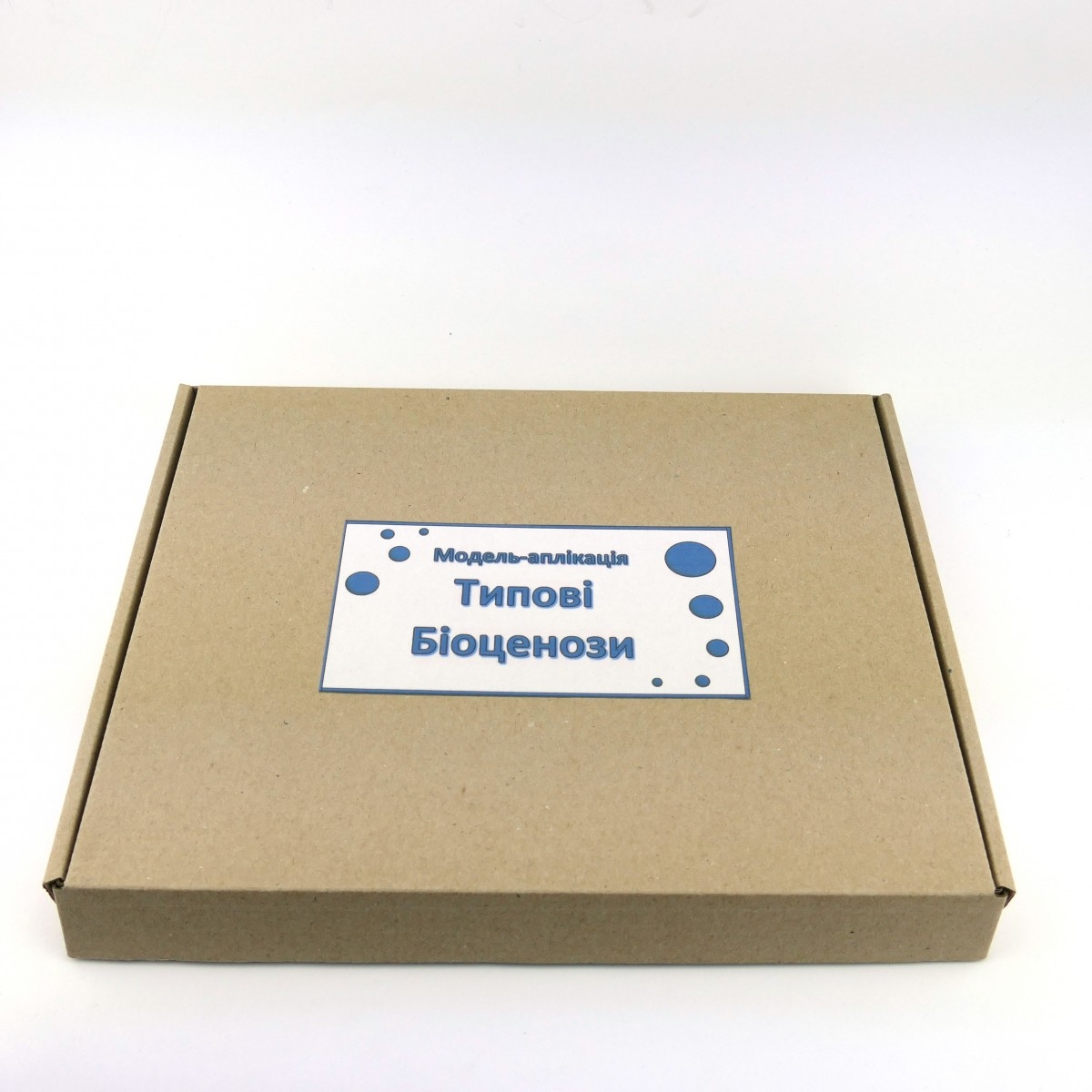 Модель-аппликация 