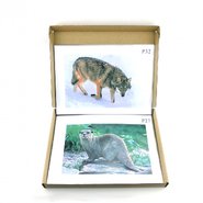 Модель-аппликация Типовые биоценозы