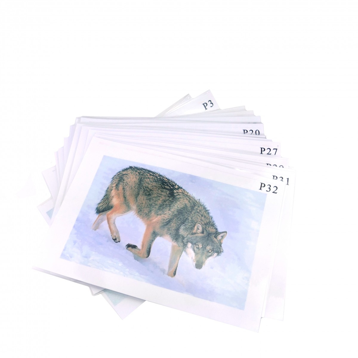 Модель-аппликация 