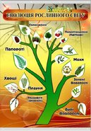 Плакат на баннерной ткани Эволюция растительного мира