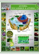 Плакат на баннерной ткани Строение растительной клетки