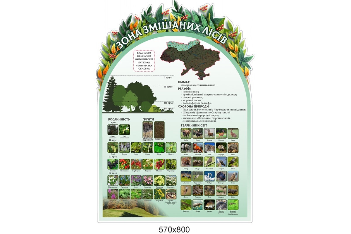 Комплект стендов 