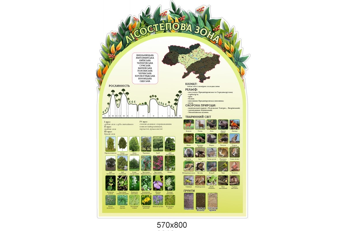 Комплект стендов 