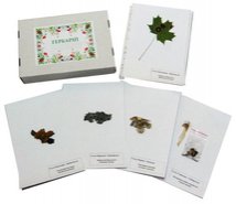 Гербарий Водоросли. Грибы. Лишайники 