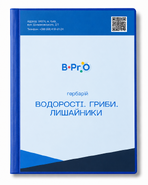 Гербарій Водорості. Гриби. Лишайники 