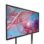 Інтерактивна панель B-PRO 75 Basic+